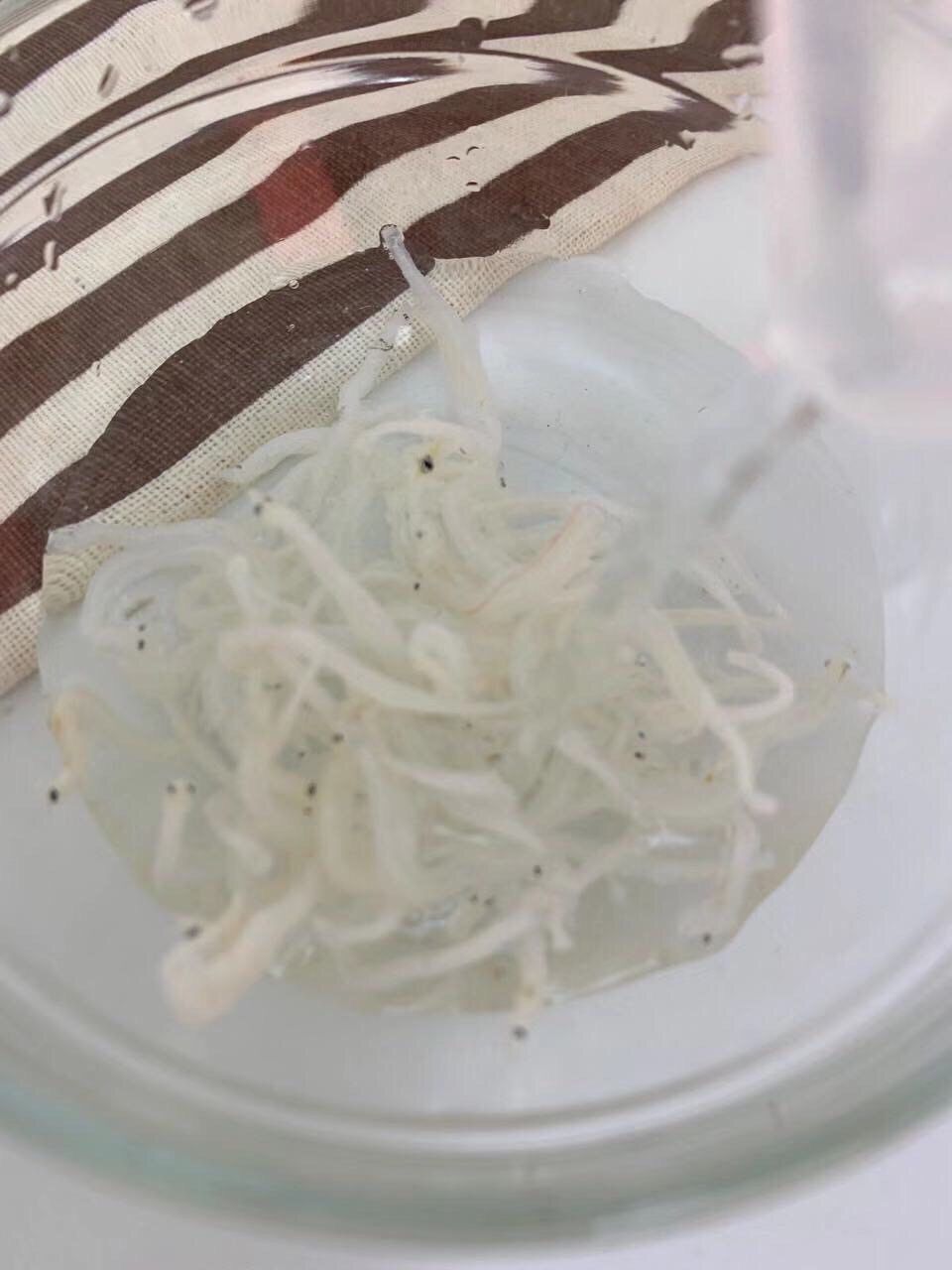 寶寶輔食  銀魚秋葵煎蛋的做法-家常味煎菜譜