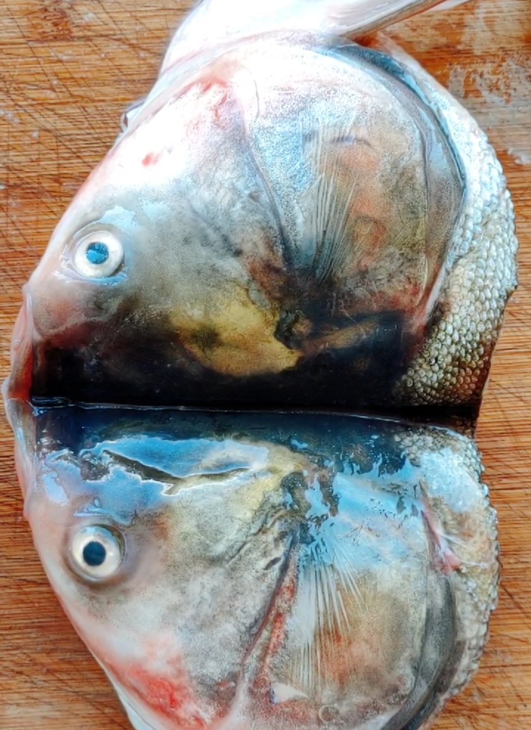 魚頭泡餅的做法-家常味燉菜譜