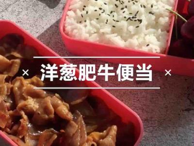 洋蔥肥牛便當的做法-家常味煮菜譜