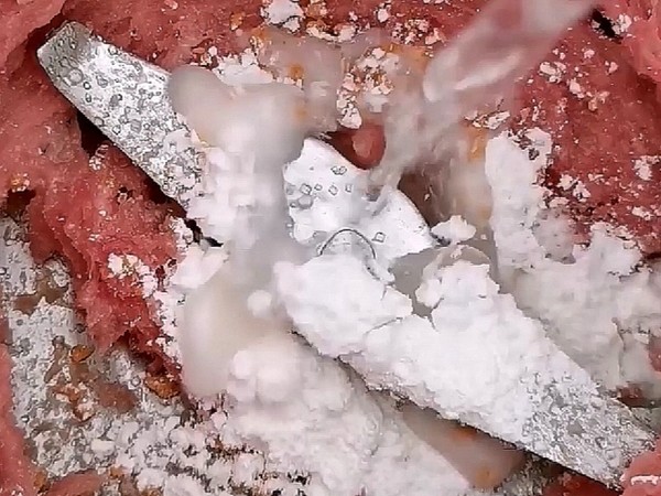 豬肉丸的做法-家常味煮菜譜