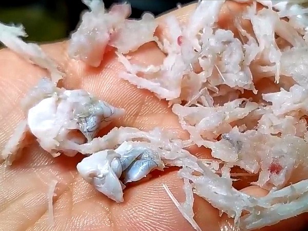 草魚餅的做法-咸鮮味煎菜譜