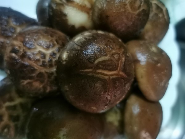 變裝簡版佛跳墻的做法-家常味燜菜譜