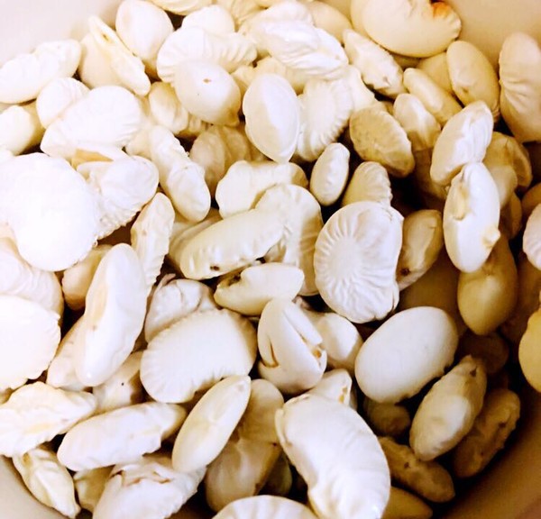 老媽蹄花的做法-咸鮮味燉菜譜