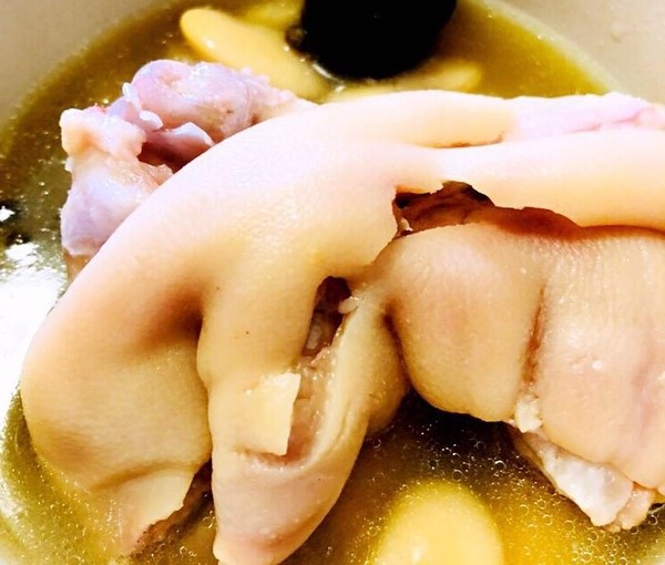 老媽蹄花的做法-咸鮮味燉菜譜