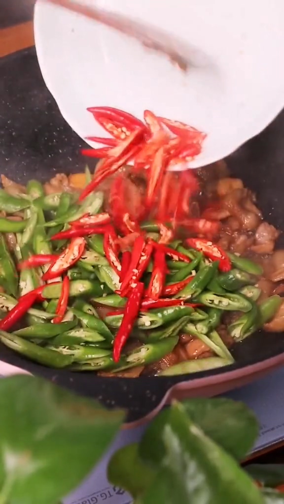 家常小炒肉的做法-家常味炒菜譜