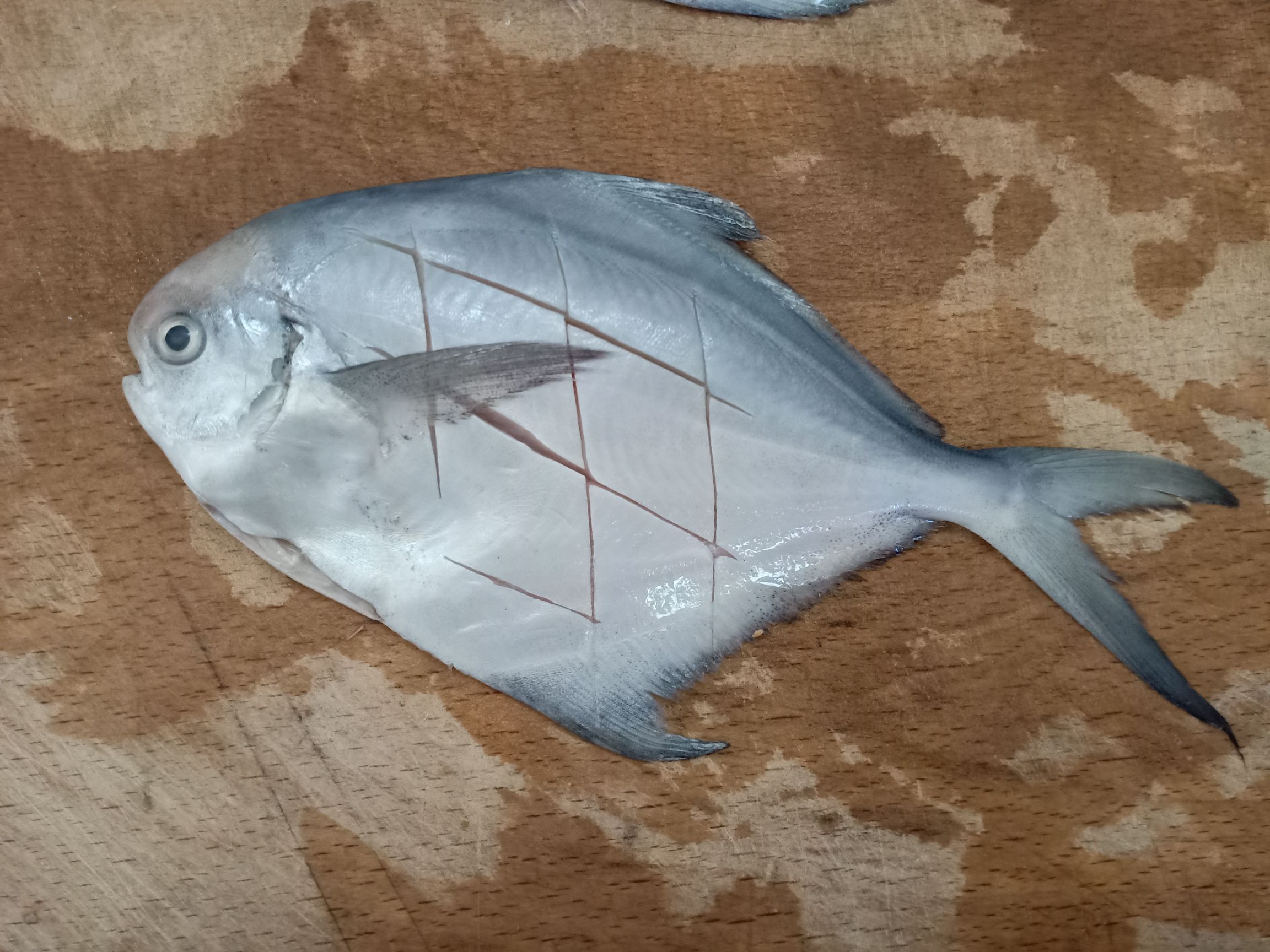 香煎鯧魚的做法-咸鮮味煎菜譜