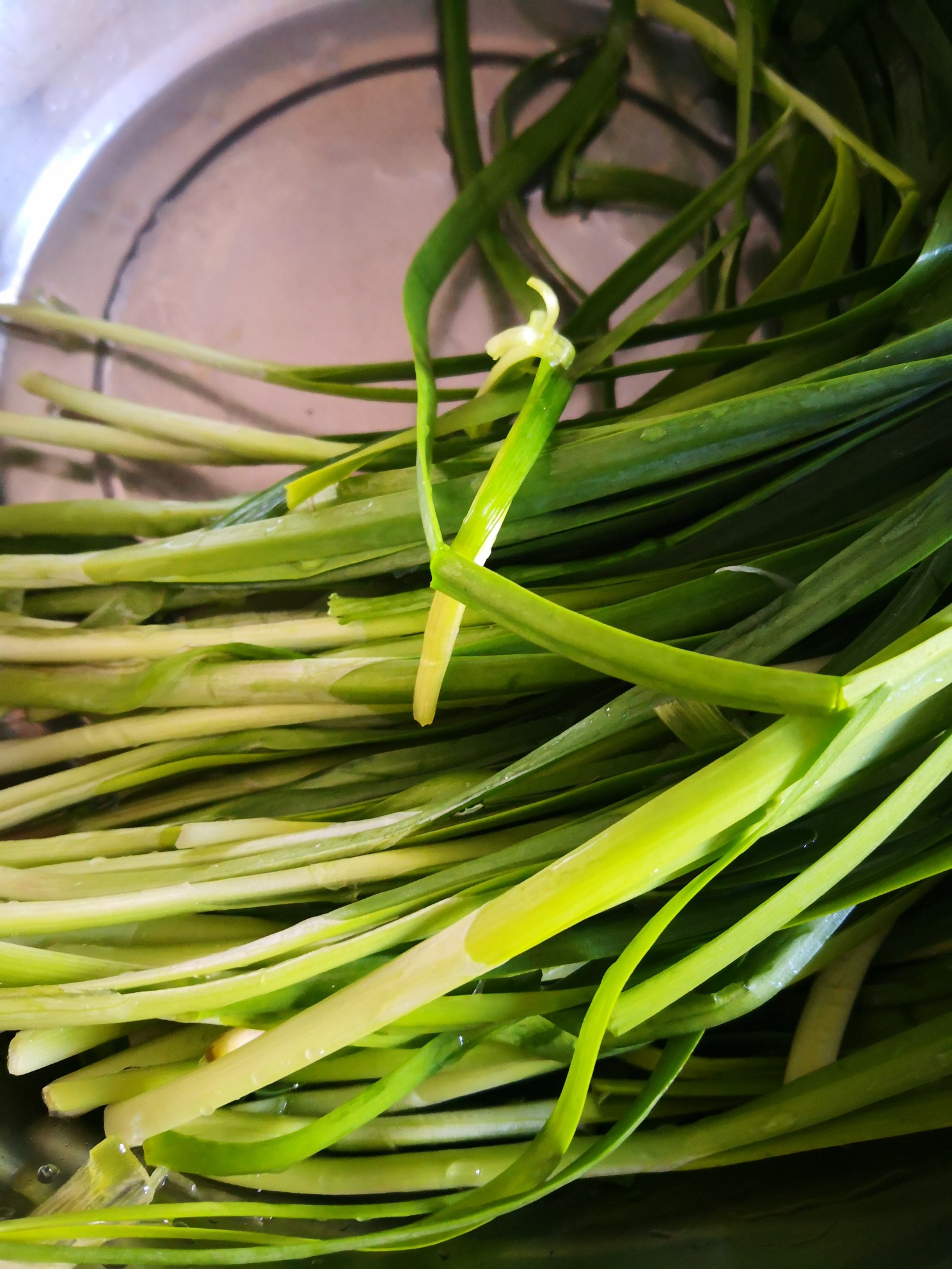 韭菜炒木耳的做法-家常味炒菜譜