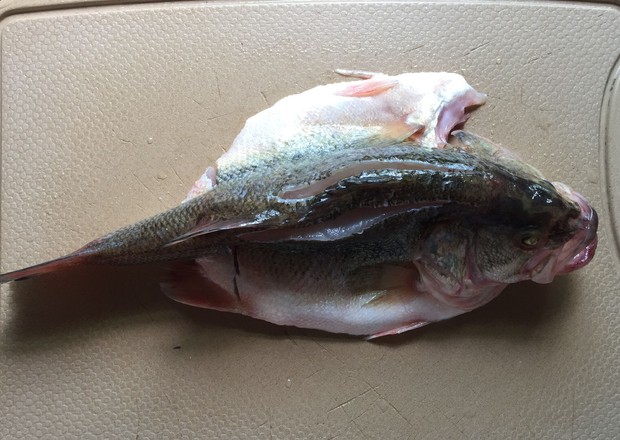 蔥香鱸魚的做法-家常味蒸菜譜
