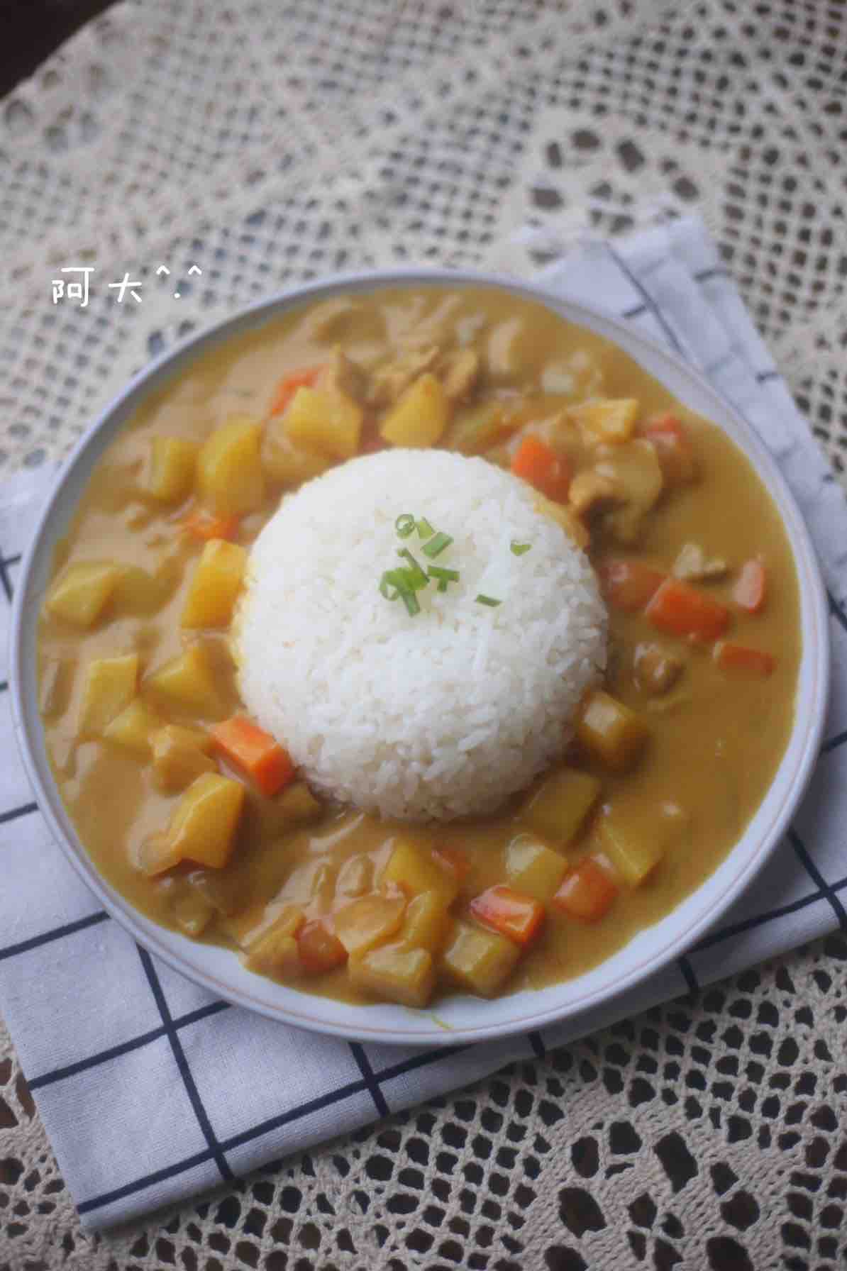 豬肉咖喱飯的做法-咖喱味煮菜譜