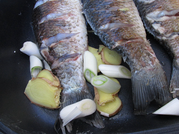 猴頭菇豆腐燉鯽魚的做法-咸鮮味燉菜譜-易網健康養生網 猴頭菇豆腐燉鯽魚的做法-咸鮮味燉菜譜