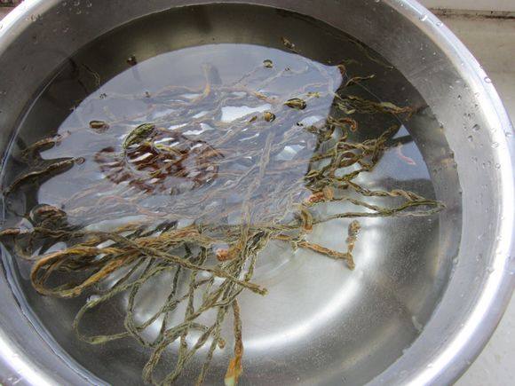 薩斯肯的做法-家常味燉菜譜