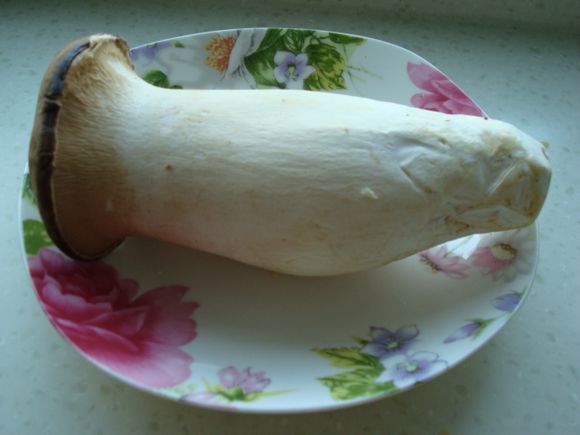 杏鮑菇炒肉片的做法-家常味炒菜譜-易網(wǎng)<a href=http://www.gyfww.com/ target=_blank class=infotextkey>健康養(yǎng)生</a>網(wǎng) 杏鮑菇炒肉片的做法-家常味炒菜譜