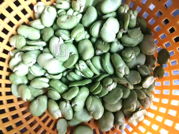 雪菜豆瓣的做法-咸鮮味炒菜譜