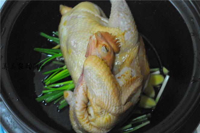 電飯煲燜雞的做法-家常味燜菜譜