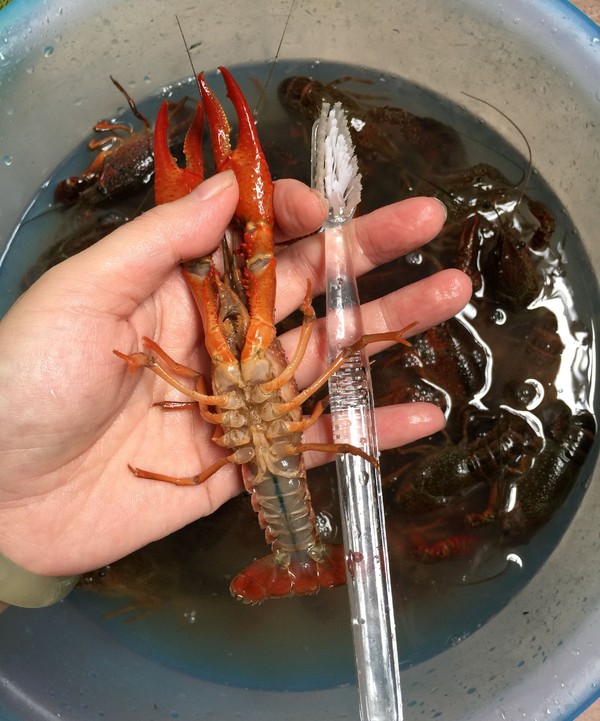 麻辣小龍蝦的做法-香辣味炒菜譜