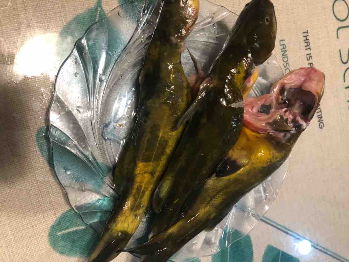 雪菜昂刺魚豆腐湯的做法-家常味煮菜譜