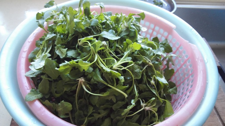 薺菜炒肉絲的做法-咸鮮味炒菜譜