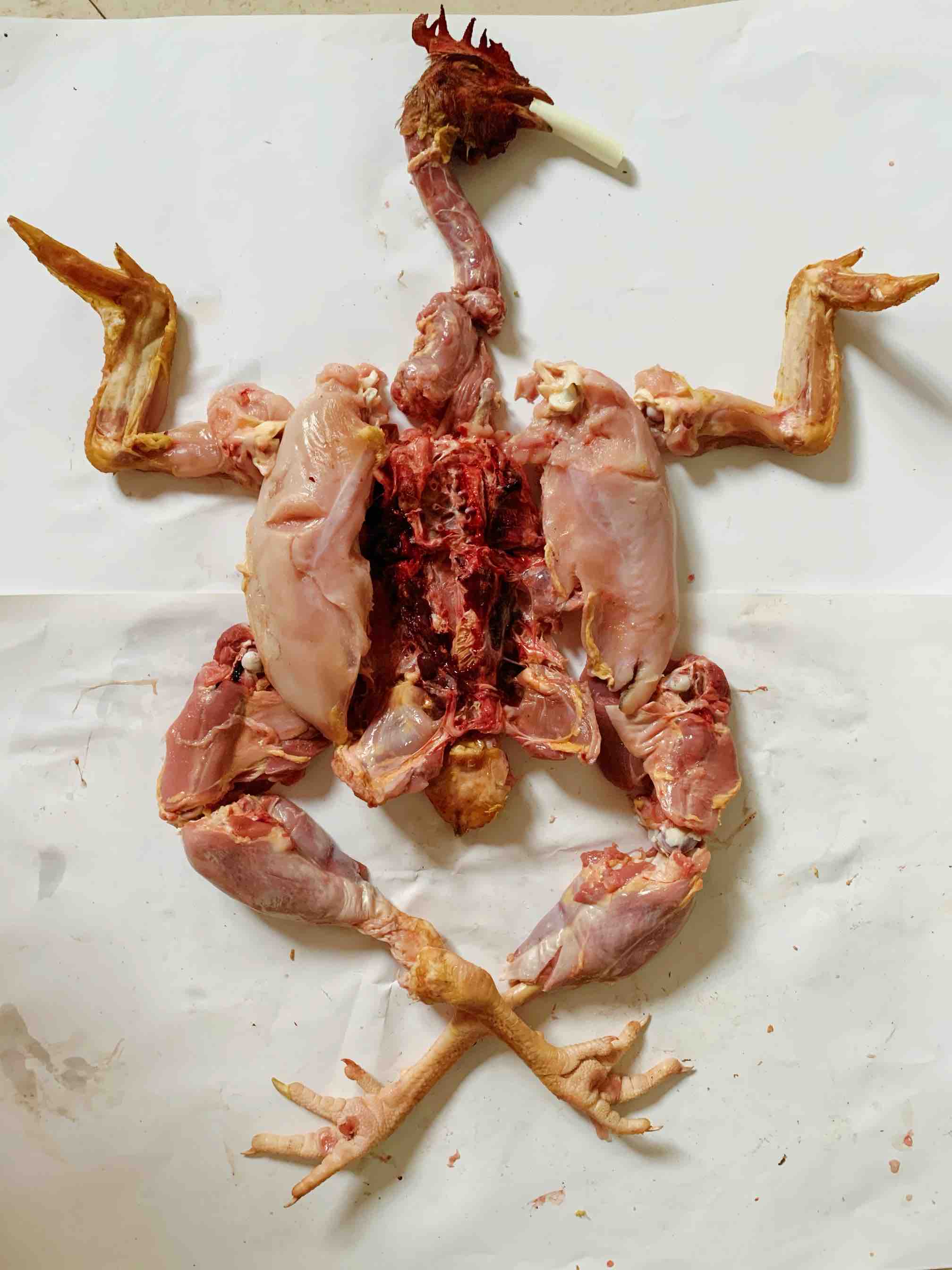 家庭版大盤雞的做法-咸鮮味燉菜譜