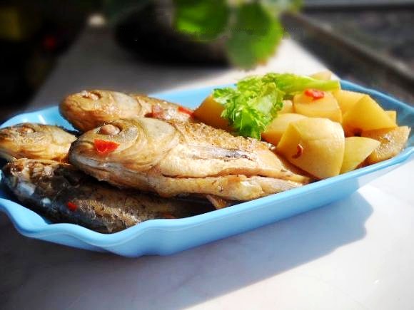 蘿卜燉鯽魚的做法-咸鮮味燉菜譜