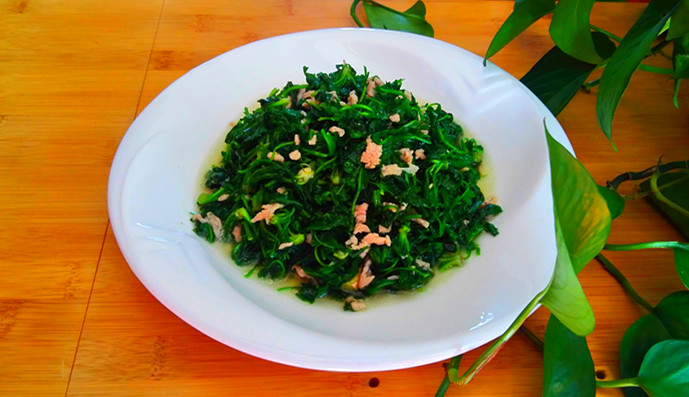 薺菜炒肉絲的做法-咸鮮味炒菜譜