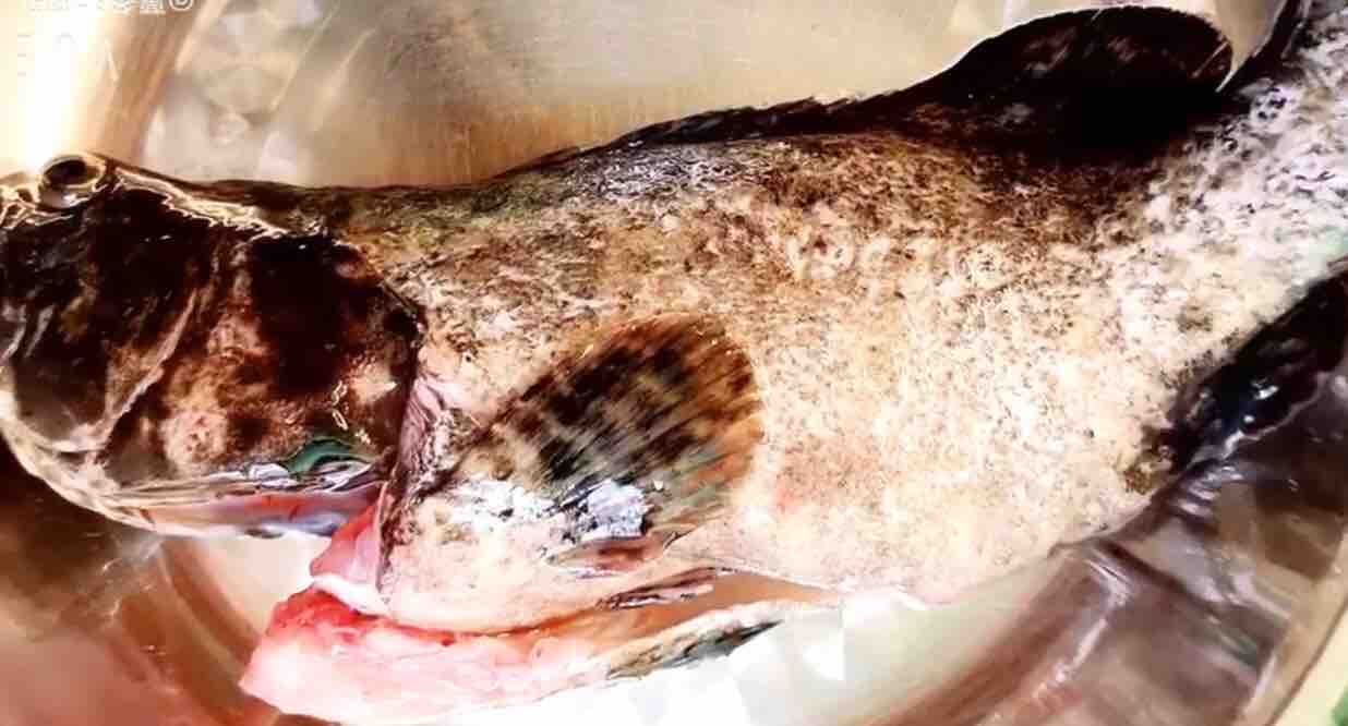 清蒸龍躉魚的做法-咸鮮味蒸菜譜