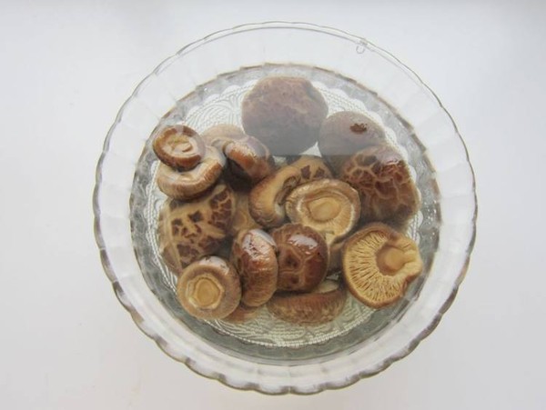 香菇燒紅嘴雁的做法-家常味燒菜譜-易網(wǎng)健康養(yǎng)生網(wǎng) 香菇燒紅嘴雁的做法-家常味燒菜譜