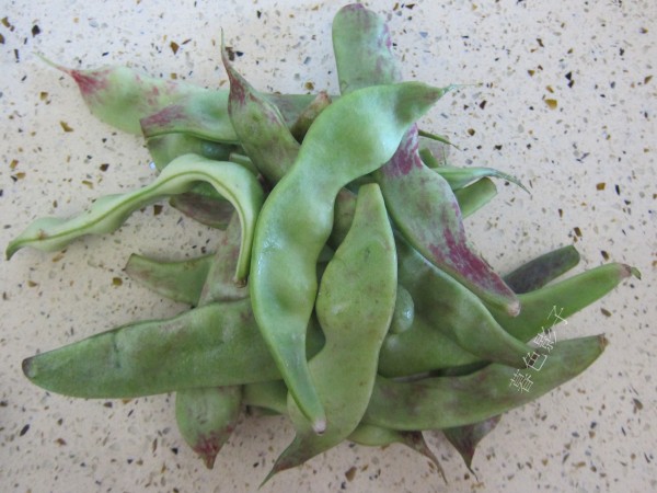 燜燉油豆角的做法-家常味燉菜譜