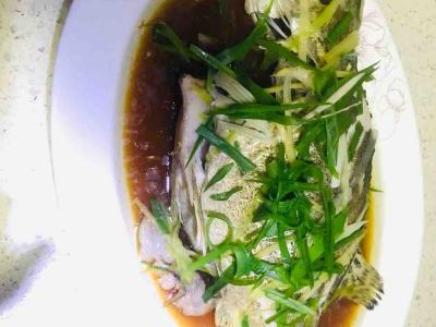 清蒸石斑魚的做法-家常味蒸菜譜