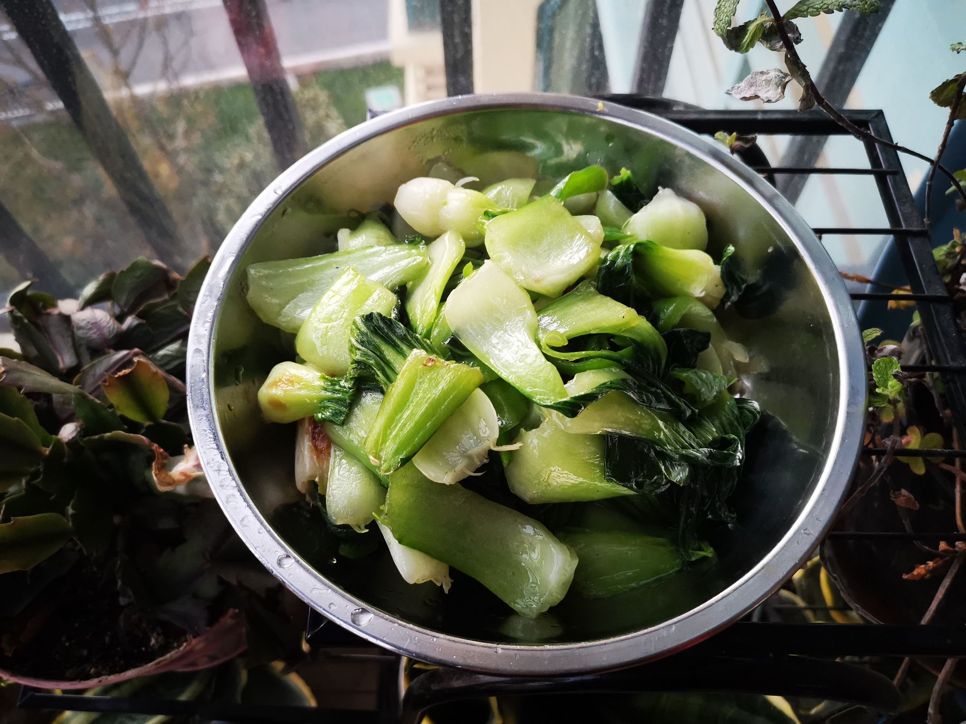 青椒小油菜的做法-家常味炒菜譜