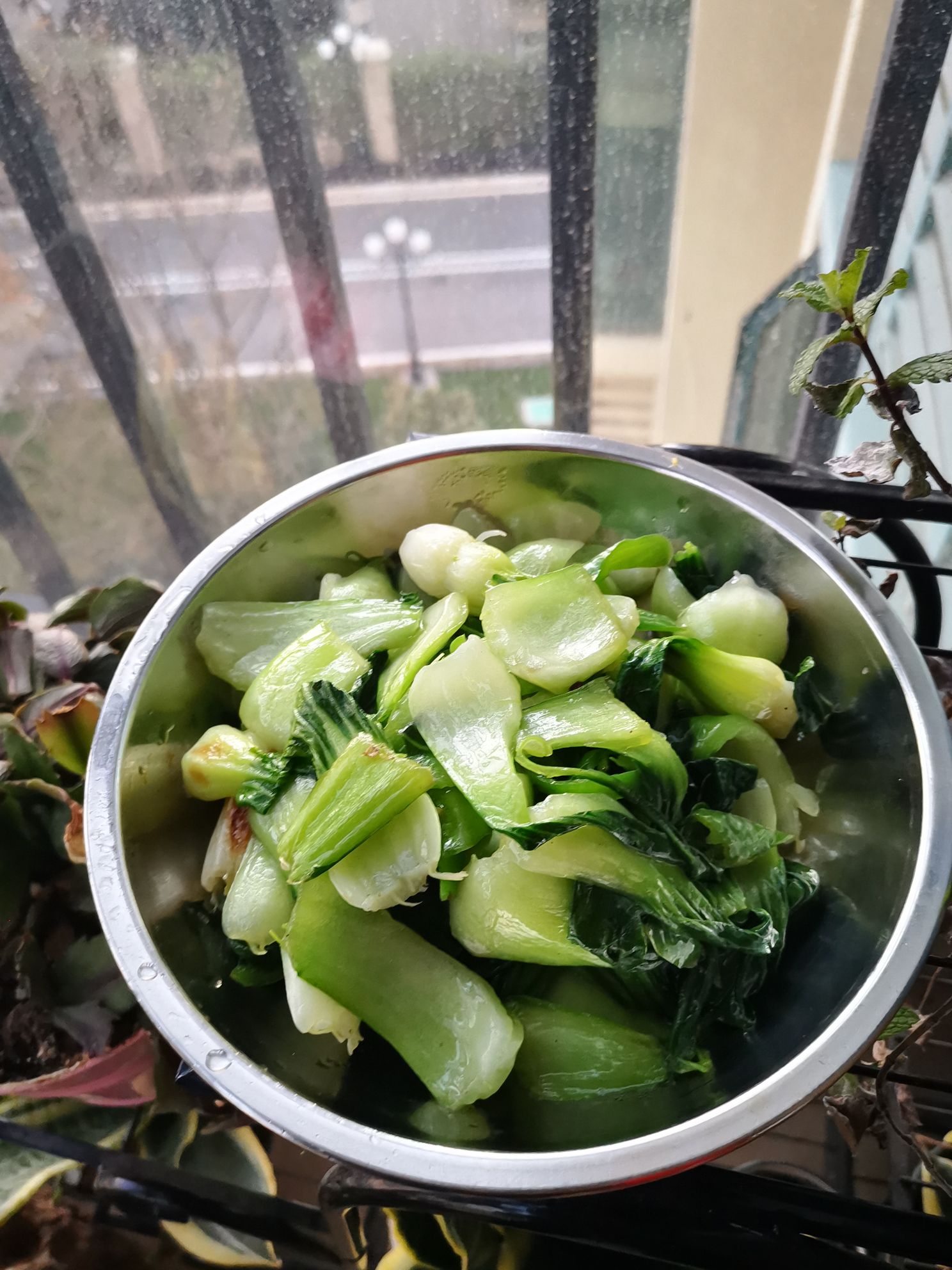 青椒小油菜的做法-家常味炒菜譜