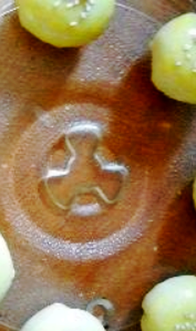 微波雪菜鮮肉月餅的做法-咸鮮味微波菜譜-易網健康養生網 微波雪菜鮮肉月餅的做法-咸鮮味微波菜譜