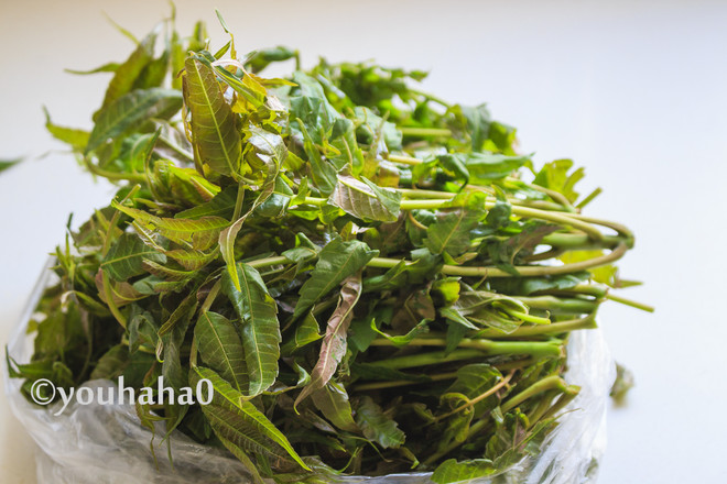 香椿芽鵝蛋并的做法-家常味炒菜譜