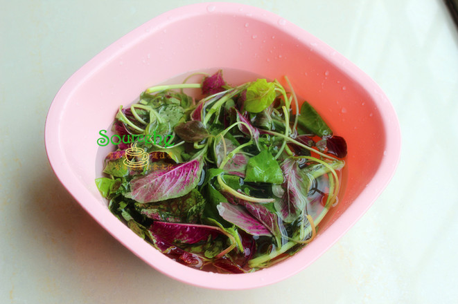 莧菜牛肉丸湯的做法-家常味煮菜譜