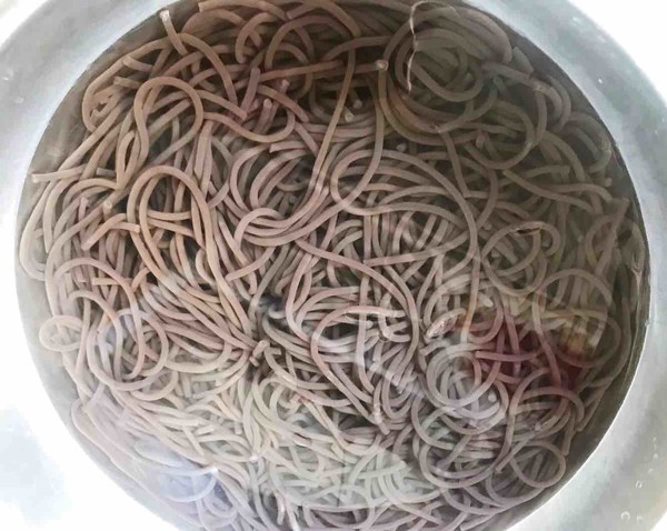 麻辣蕨根粉的做法-麻辣味拌菜譜