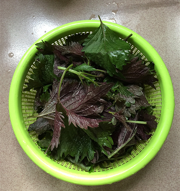 紫蘇煎雞蛋的做法-家常味煎菜譜