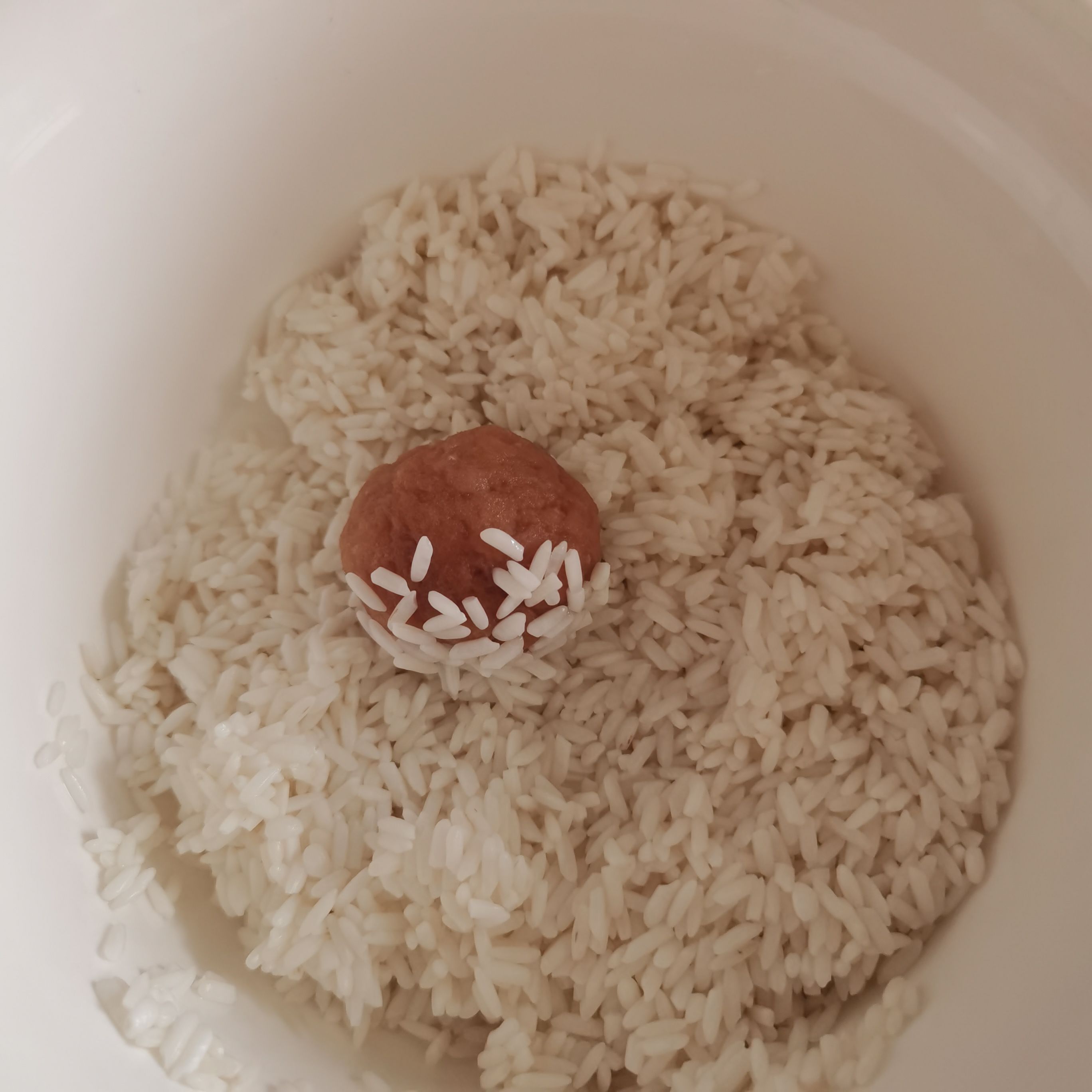 糯米珍珠丸子的做法-家常味蒸菜譜