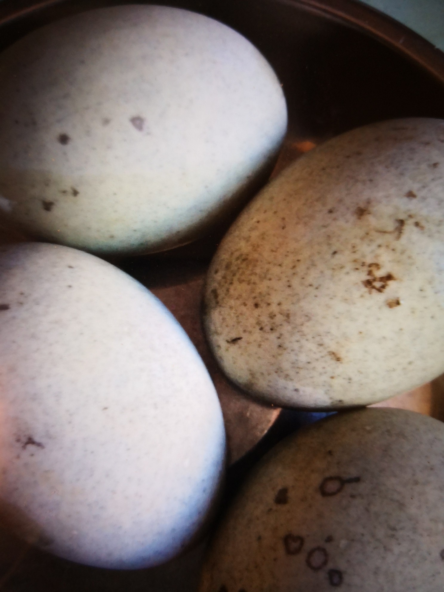 澆汁松花蛋的做法-酸甜味拌菜譜