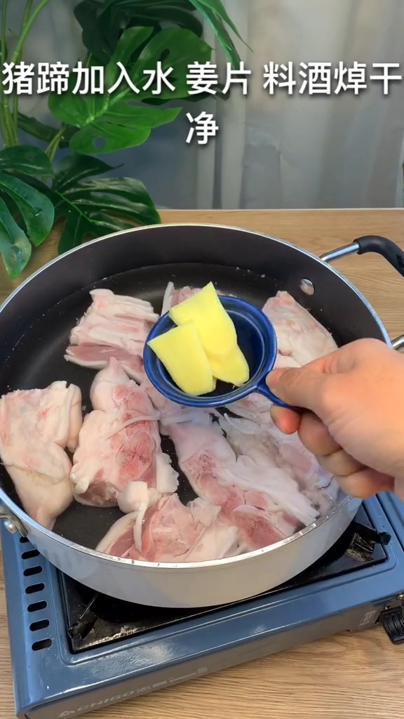 美容豬蹄的做法-咸鮮味燉菜譜