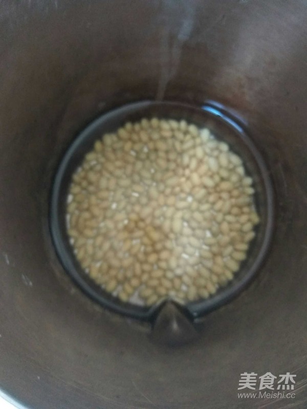 黃豆豆漿的做法-其它口味榨汁菜譜