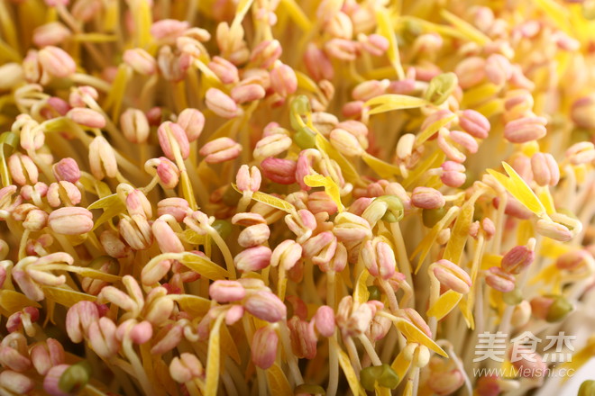 快炒綠豆芽的做法-家常味炒菜譜