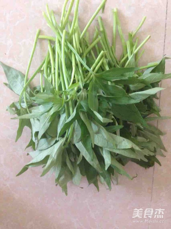 清炒番薯葉的做法-家常味炒菜譜-易網(wǎng)<a href=http://www.gyfww.com/ target=_blank class=infotextkey>健康養(yǎng)生</a>網(wǎng) 清炒番薯葉的做法-家常味炒菜譜