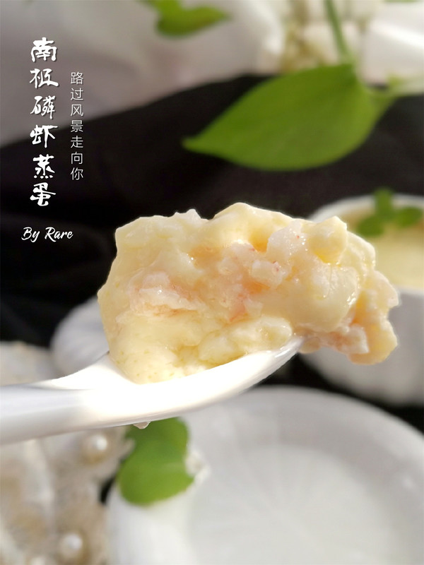 南極磷蝦蒸蛋的做法-咸鮮味蒸菜譜