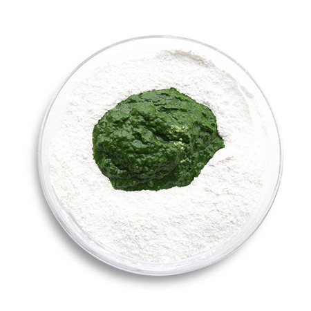 清明時令，別忘了嘗春的做法-家常味蒸菜譜