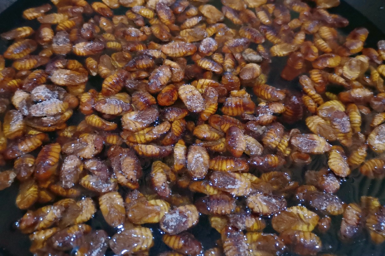 炒蠶蛹的做法-家常味炒菜譜