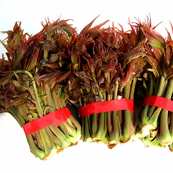 香椿芽炒蛋--春天來了的做法-咸鮮味炒菜譜