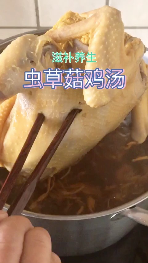 蟲草菇雞湯的做法-咸鮮味煮菜譜