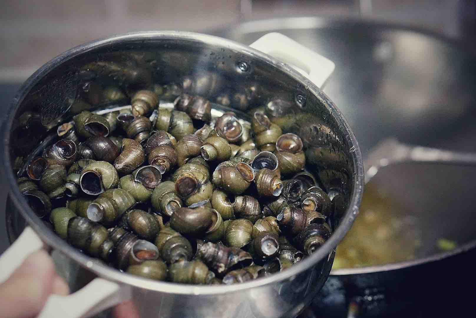 花蛤辣醬爆螺絲的做法-香辣味炒菜譜