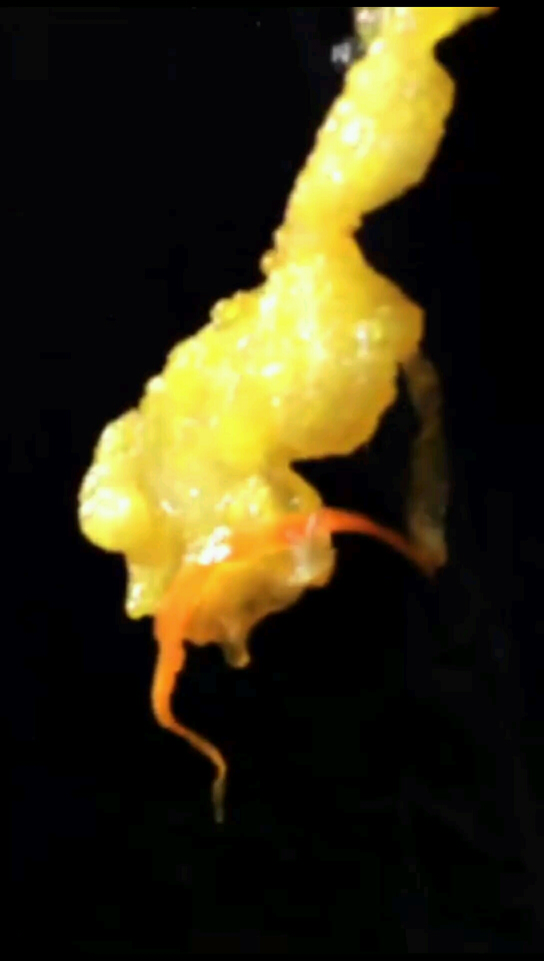 鍋包魚片的做法-酸甜味炸菜譜