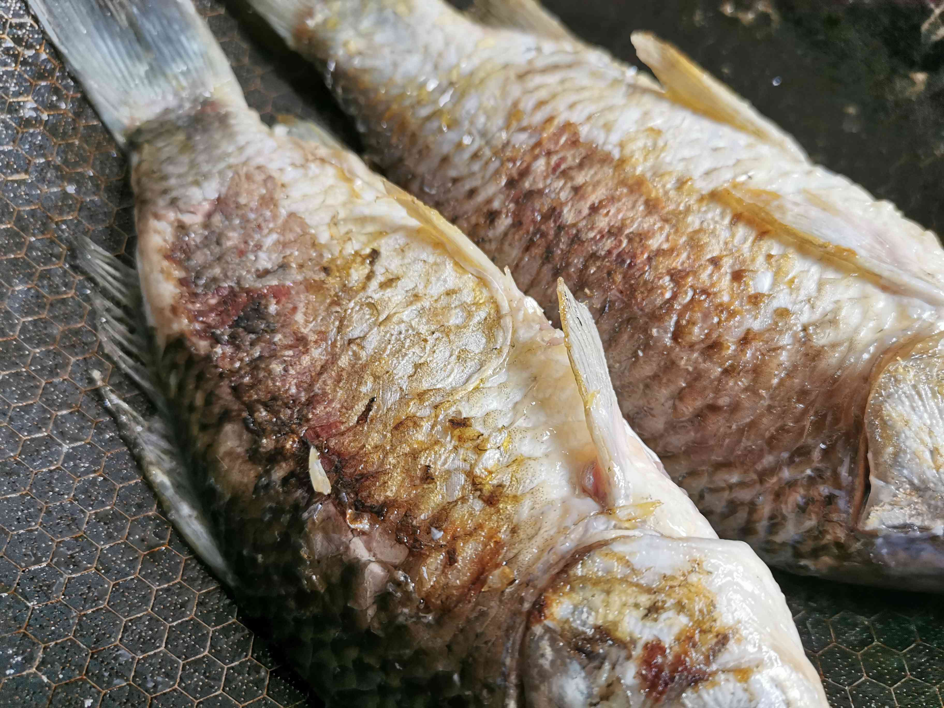 鯽魚豆腐湯的做法-家常味燉菜譜