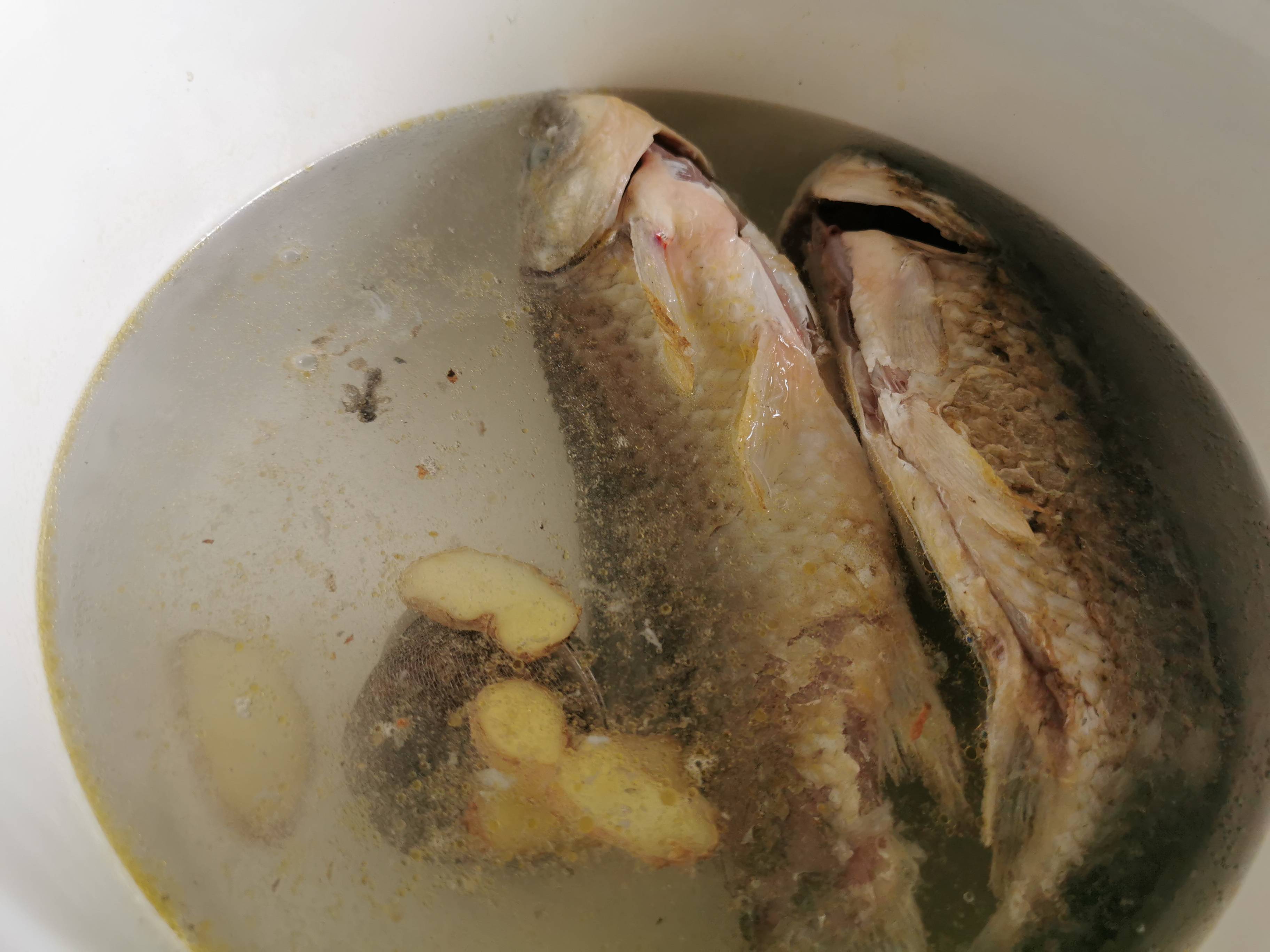 鯽魚豆腐湯的做法-家常味燉菜譜